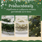 🎄 2+1 GRATIS! Sfeervolle Koperen draad kerstverlichting – 50% KORTING! Perfect voor je Kerstboom, Huis of als Cadeau 🎁✨