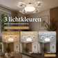 💥TOP VERKOOP RANG LIJST💡Opvouwbare plafondventilator met dimbaar LED, afstandsbediening en timer🌀