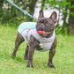 🐶Uitverkoop op de laatste dag: 50% KORTING❄️🐾 Zomer-koelvest voor honden