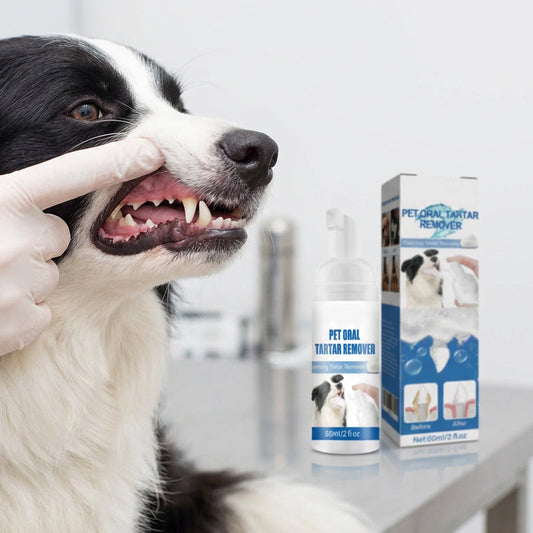 🐾🦷✨ Schuimende Tandsteenverwijderaar voor Huisdieren 🧼🐶🐱