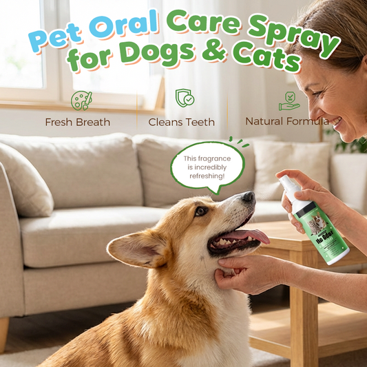 🐶🐱 Pet Oral Care Spray for Dogs & Cats 🦷✨
