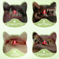🐶🐱 Pet Oral Care Spray for Dogs & Cats 🦷✨