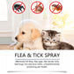 Natural Flea & Tick Spray for Dogs and Cats🐾 Keep Your Beloved Pet Free from Pests 🐾
