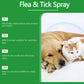 Natural Flea & Tick Spray for Dogs and Cats🐾 Keep Your Beloved Pet Free from Pests 🐾
