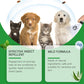 Natural Flea & Tick Spray for Dogs and Cats🐾 Keep Your Beloved Pet Free from Pests 🐾