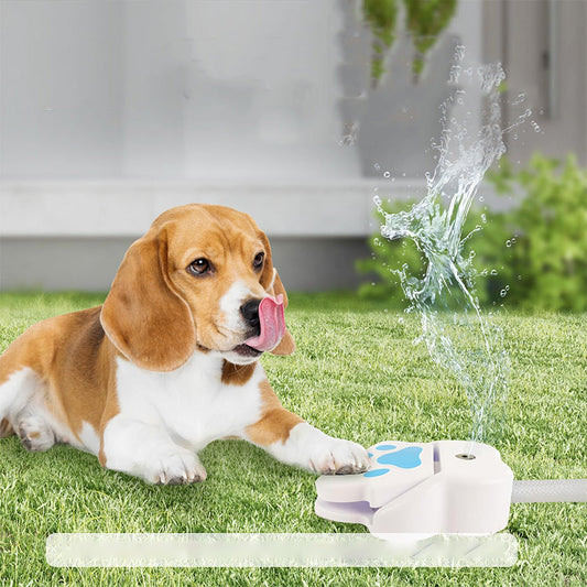 🐾💧⛲ Waterfontein die door hondenpootjes wordt geactiveerd 🐶✨