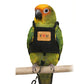 💖Ademend harnasvest voor vogels☁️