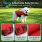 ☀️ Summer Deal! Reddingsvest voor honden – blijft drijven, opvallend veilig en perfect voor het strand.