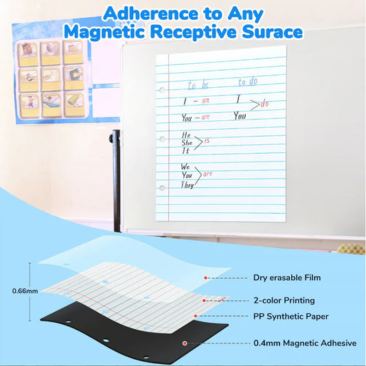 Magnetisch droog uitwisbaar gelinieerd whiteboard