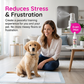 Huisdier Zindelijkheidstraining Spray voor Honden & Katten