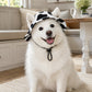 Zomer Puppy Bucket Hat met Oorgaten