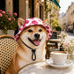 Zomer Puppy Bucket Hat met Oorgaten