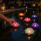🪷 Bespaar 50%! 💡 Drijvende Lotusbloemen – Waterdicht, LED & Klaar Voor De Vijver ✨