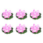 🪷 Bespaar 50%! 💡 Drijvende Lotusbloemen – Waterdicht, LED & Klaar Voor De Vijver ✨