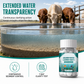💧🐄 50% KORTING | Bruistabletten voor Veewater – Voor Onderhoud van Drinkbakken & Watertanks